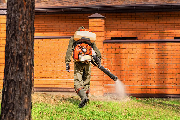 Trusted Cockroach Control service in Granite Falls, WA - Nex Pest Control